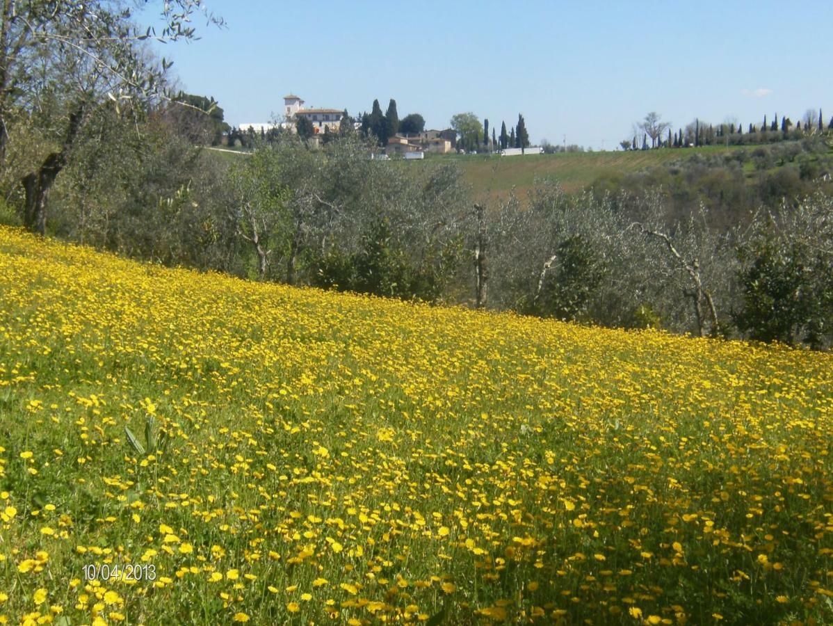 Willa Le Massucce San Casciano in Val di Pesa Zewnętrze zdjęcie